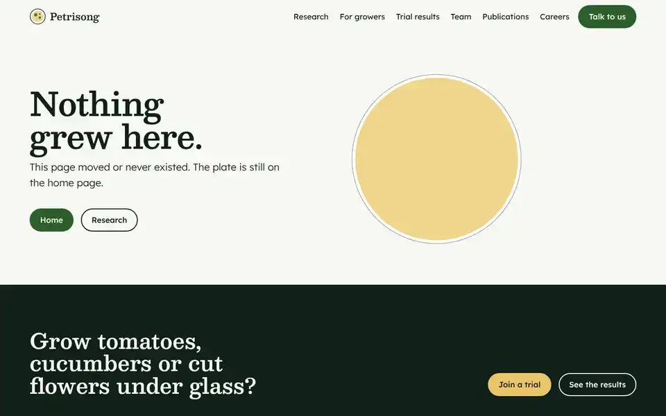 Petrisong, page "404", first screen