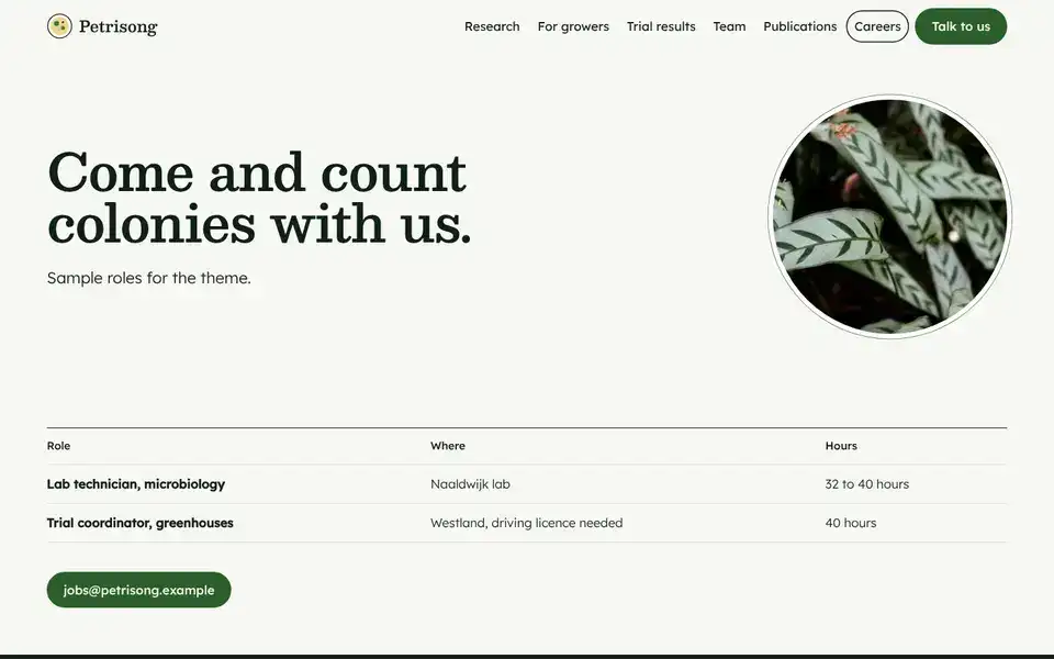 Petrisong, page "Careers", first screen