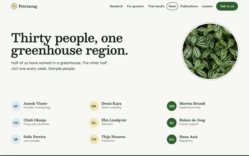Petrisong, page "Team", first screen